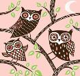 Owls by Thorina Rose